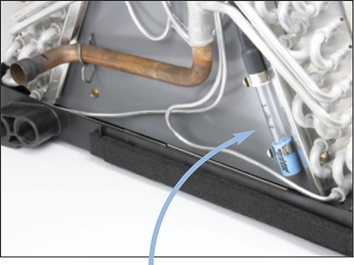 Lamp and cable assembly with magnet-mounts allows many options for lamp positioning